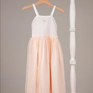 Well dressed Wolf peach maxi